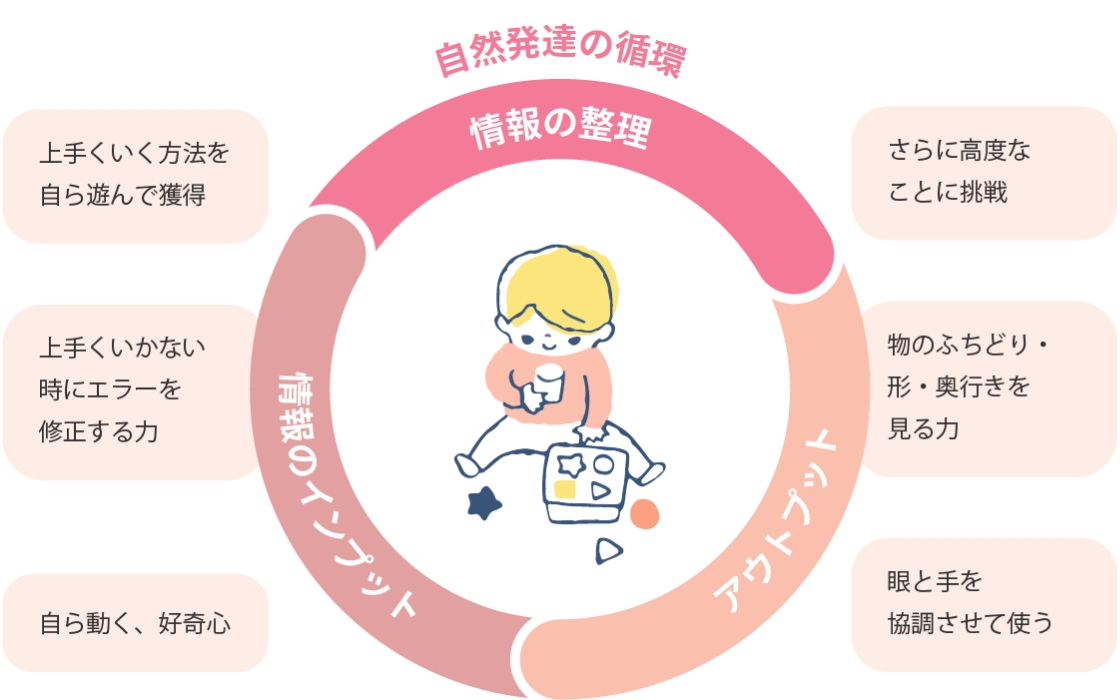自然発達の循環として、情報のインプット・情報の整理・アウトプットがつながり、子どもが遊びを通じて上手くいく方法を自ら獲得し、さらに高度なことに挑戦する過程を示した図。